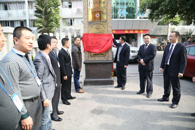 ����Ԫ�ܾ��������Ϊ����